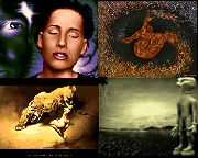 Collage