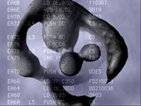 download ascender067 [4.6mb]