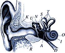 orf kunstradio